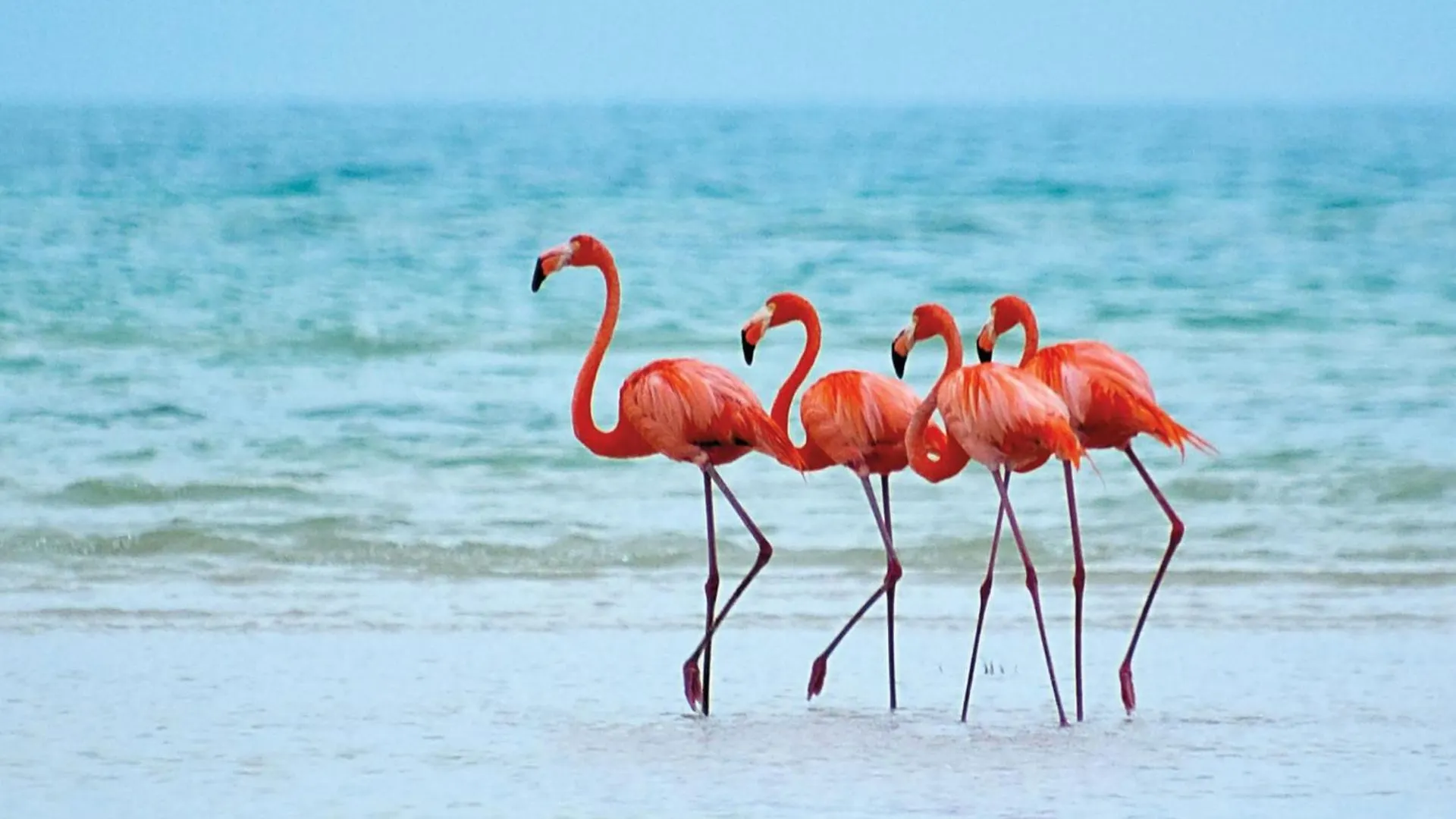 Hotel El Corazon Mexican0 Isla Holbox