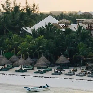 Hotel Casa Tortugas Petit &, Holbox